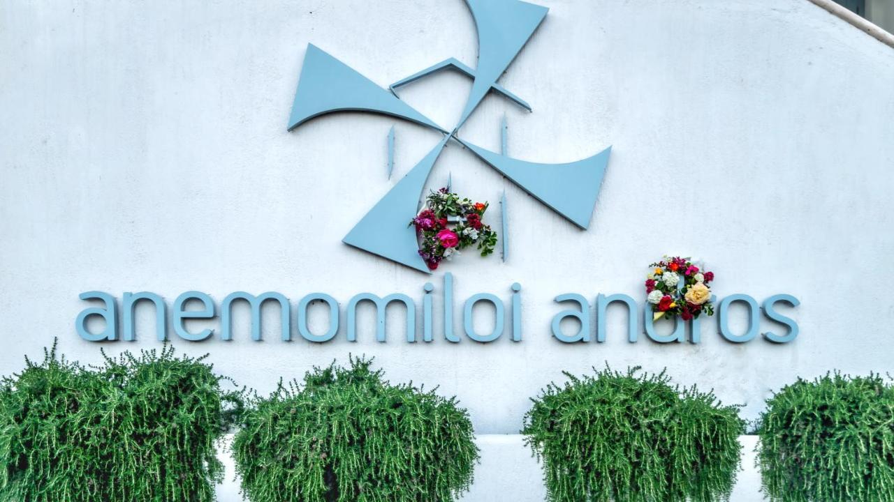 Отель Anemomiloi Andros Экстерьер фото